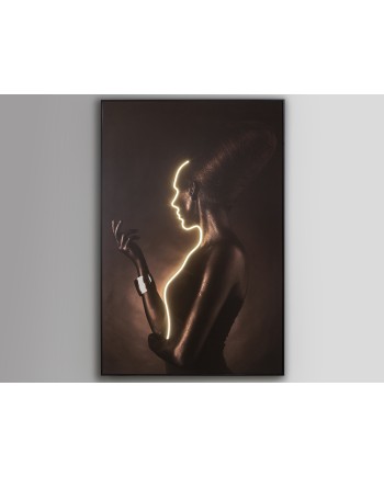 SILUETA-CUADRO LUZ LED 120X180